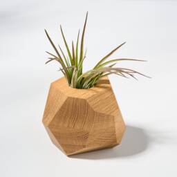 White Oak Geometric Air Plant Holder - thumbnail 1