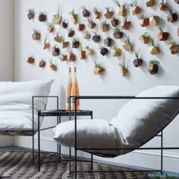 White Oak Geometric Air Plant Holder - thumbnail 4