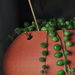 Ceramic Hanging Planter, Terracotta Plant Pot For Live House Plants - thumbnail 3