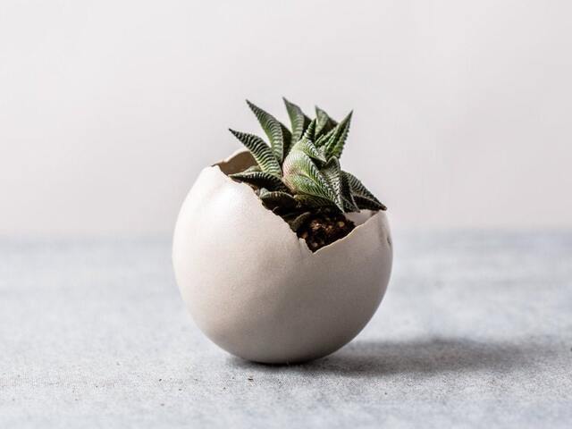 Small White Modern Planter With A Drainage Hole & Saucer - Pottery Pot For Succulent Cactus Unique Gift - image 1