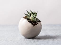 Small White Modern Planter With A Drainage Hole & Saucer - Pottery Pot For Succulent Cactus Unique Gift - thumbnail 1