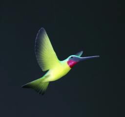 Hummingbird Mobile Sculpture Decor By John Perry 5 Inch Wingspan Ruby Throated