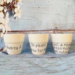 Personalised Mini Plant Pot - Funny Pun Flowerpot Herb Planter Mother's Day Gardening Gift - thumbnail 3