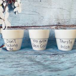 Personalised Mini Plant Pot - Funny Pun Flowerpot Herb Planter Mother's Day Gardening Gift - thumbnail 2