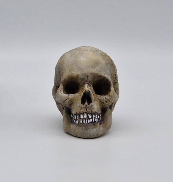 Solid Tiny Human Skull Ornament. Small Replica Plaster Of Paris Skull - image 1