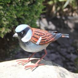 Handcrafted Metal House Sparrow Garden Sculpture British Bird Ornament - thumbnail 2