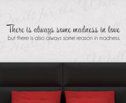 There Is Always Some Madness in Love But Also Reason Courage Relationship Marriage Wall Quote Sticker Vinyl Decal Art A64 - thumbnail 1