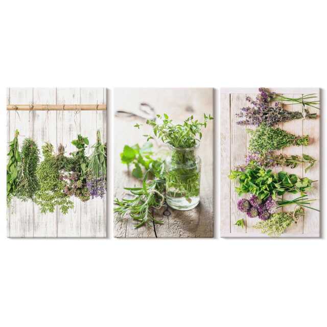 Set Of 3 Canvas Prints - Drying Herbs & Plants For The Kitchen, Green Wall Art Canvas, Flowers Hanging Piece - image 1
