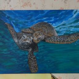 "Limited Edition Signed & Numbered Artist Wood Print "" Turtle Love" - thumbnail 4