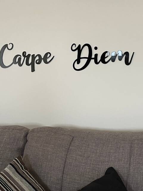 Carpe Diem Acrylic Wall Art, Seize The Day Decor - image 1