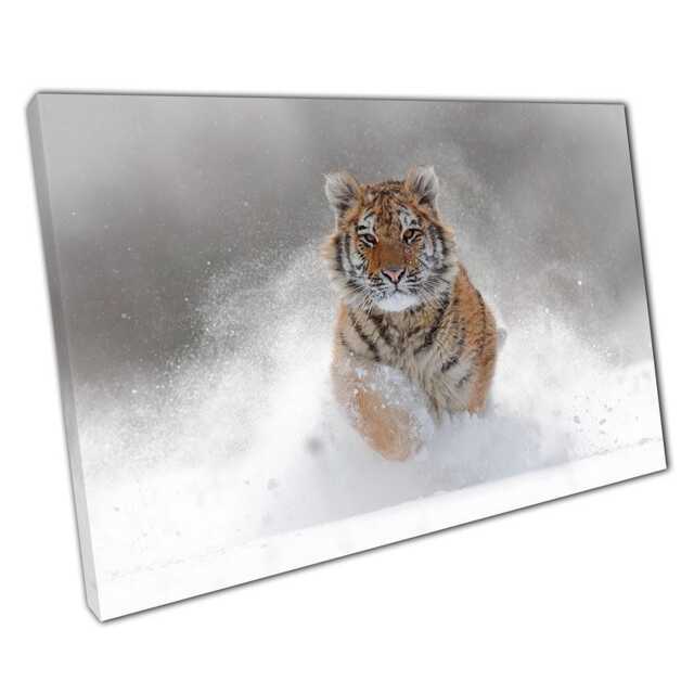 Majestic Siberian Tiger Canvas Print Snowy Terrain Wildlife Art For Home & Office Decor - image 1