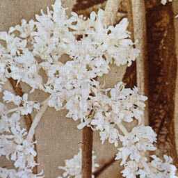 Linen Wall Hanging Floral Landscape Vintage Art Print - thumbnail 3