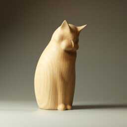 Cat - 5 - thumbnail 3