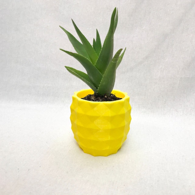 Pineapple Planter/Geometric Planter/Pineapple Decor/Succulent/Fathers Day Gift/Gift For Her/Modern Planter/Air Plant/Indoor Planter - image 1