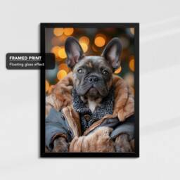 Cute French Bulldog Warm Coat Puppy Framed Poster Print & Canvas Wall Decor Art Bedroom Home Interior Funny Dog Lover Gift - thumbnail 2