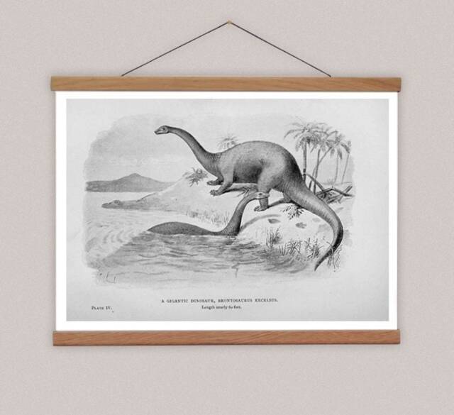 Brontosaurus Canvas Print With Oak Wooden Hanger, Vintage Dinosaur Art - image 1