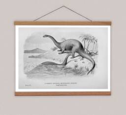 Brontosaurus Canvas Print With Oak Wooden Hanger, Vintage Dinosaur Art - thumbnail 1