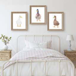 Watercolour Duck Prints, Painting, Gifts, Set Of Wall Art, Country Home Decor, Wildlife Animal Art - thumbnail 3