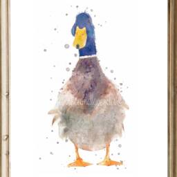 Watercolour Duck Prints, Painting, Gifts, Set Of Wall Art, Country Home Decor, Wildlife Animal Art - thumbnail 2