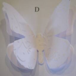 Set Of 20 3D Butterflies Embossed Wall Tattoo Decoration - White Grey Colour Choice - thumbnail 4