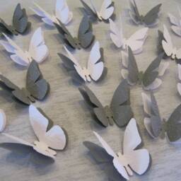 Set Of 20 3D Butterflies Embossed Wall Tattoo Decoration - White Grey Colour Choice - thumbnail 3