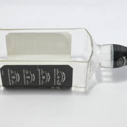 Jack Daniels Whiskey Bottle Terrarium/Recycled Bowl Succulent Planter Herb Garden - thumbnail 2