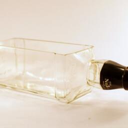 Jack Daniels Whiskey Bottle Terrarium/Recycled Bowl Succulent Planter Herb Garden - thumbnail 3