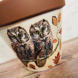 Brown Owl Plant Pot Flower Planter Gifts Gardener Lovers - thumbnail 3