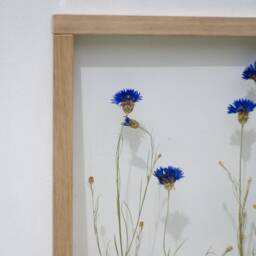 Huge Pressed Flower Frame - Wall Decor 13x18 - thumbnail 3