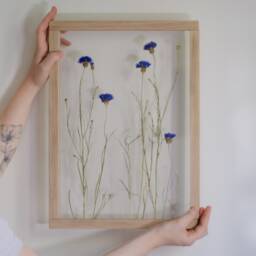 Huge Pressed Flower Frame - Wall Decor 13x18 - thumbnail 4