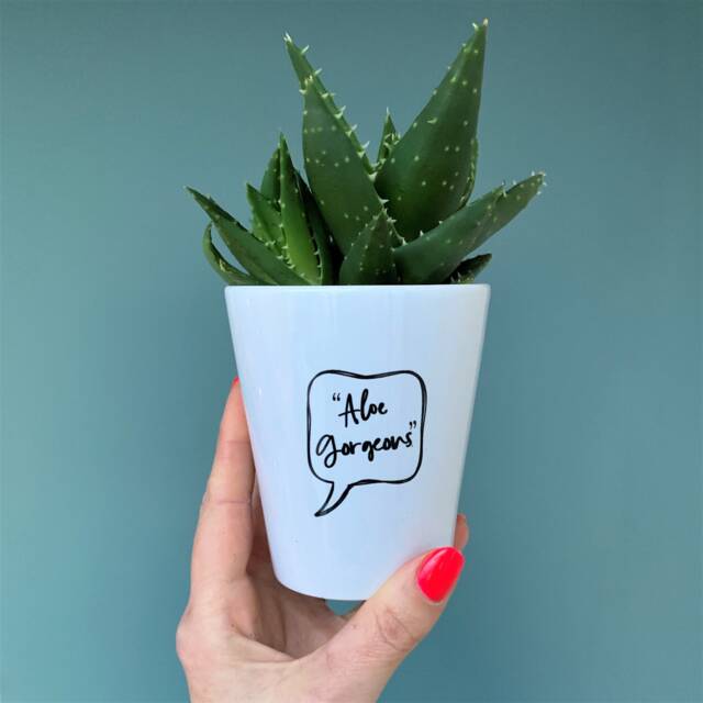 Aloe Gorgeous Ceramic Flower Pot - Decorative Cool Plant Lover Gift Green Fingers Motivational For Her - image 1