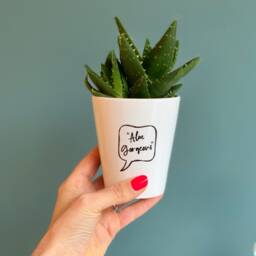 Aloe Gorgeous Ceramic Flower Pot - Decorative Cool Plant Lover Gift Green Fingers Motivational For Her - thumbnail 3