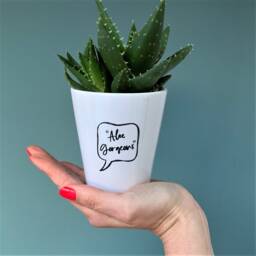 Aloe Gorgeous Ceramic Flower Pot - Decorative Cool Plant Lover Gift Green Fingers Motivational For Her - thumbnail 2