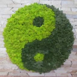Large Moss Yin Yang Wall Art, Yoga Studio Botanical Decor, Unique Home Accent - thumbnail 4