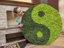Large Moss Yin Yang Wall Art, Yoga Studio Botanical Decor, Unique Home Accent - thumbnail 1