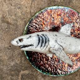 Reya The Shark Unique Ceramic Wall Sculpture Ocean Marine Sharkweek - thumbnail 2