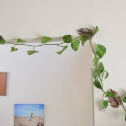 Wooden Monstera Leaf Plant Wall Clips - Set Of 3 - thumbnail 4