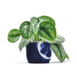 Shibori Indigo Fabric Pot, 4 - thumbnail 1