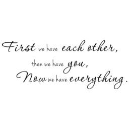 Now We Have Everything Nursery Decor Wall Quote Childrens Decal Vinyl Decal - 057 - thumbnail 3