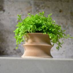 "Wooden Planter ""Curvy" - thumbnail 2