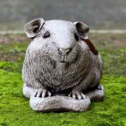 Stone Guinea Pig Sculpture Outdoor Garden Rodent Figurine Concrete Pet Statue Animal Decor Cement Cavy Ornament Pig Lover Gift Yard Art - thumbnail 3