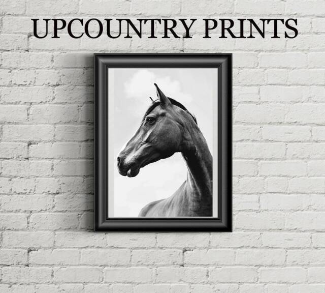Horse Nursery Art Print Southern Farmhouse Decor - Digital Download - image 1