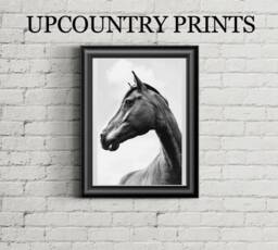 Horse Nursery Art Print Southern Farmhouse Decor - Digital Download - thumbnail 1