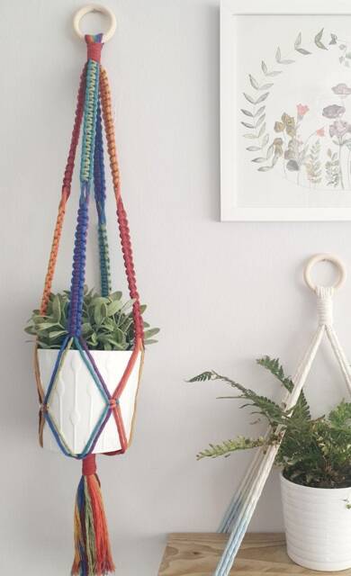 Rainbow Macrame Plant Hanger - image 1