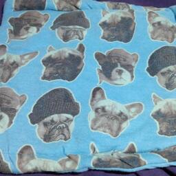 Dogs With Hats Pillow, Cover Only - thumbnail 2