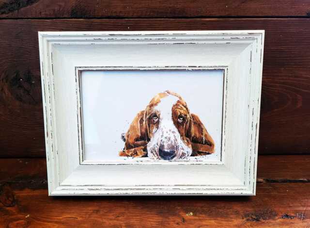 Basset Hound Print 17x12cm - White Rustic Frame - Droopy Ear Wall Art, Gift For Lovers - image 1