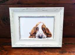 Basset Hound Print 17x12cm - White Rustic Frame - Droopy Ear Wall Art, Gift For Lovers - thumbnail 1
