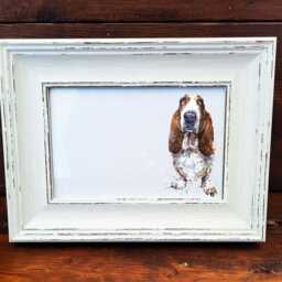 Basset Hound Print 17x12cm - White Rustic Frame - Droopy Ear Wall Art, Gift For Lovers - thumbnail 2