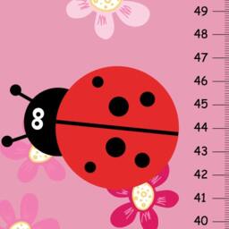 Personalized Lady Bug Canvas Growth Charts, Pink Decor Wall Art For Girls - thumbnail 1