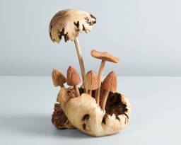 Wooden Mystical Mushroom Figurine, Forest Art, Personalized Statue, Tropical Decor, Gift For Mom